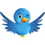 Servicio de meseros para fiestas en Toluca Metepec Twitter
